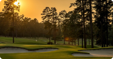 Golf Gallery 8